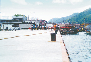 三亚市渔政渔港码头工程（港口与航道工程）x
